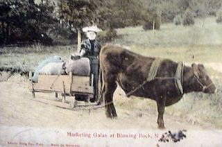 norman-martin-north-carolina-nc-blowing-rock-0223.jpg, Blowing Rock, North Carolina : norman-martin-north-carolina-nc-blowing-rock-0223.jpg [4347318-620320212]