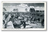 norman-martin-north-carolina-nc-camp-greene-0005.jpg, Camp Greene, North Carolina: norman-martin-north-carolina-nc-camp-greene-0005.jpg [4036604-18320206]