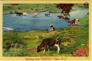 norman-martin-north-carolina-nc-caswell-county-0001.jpg, Caswell County, North Carolina : norman-martin-north-carolina-nc-caswell-county-0001.jpg [3916481-4320211]
