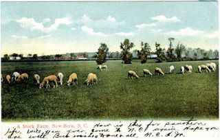 norman-martin-north-carolina-nc-craven-county-0005.jpg, Craven County, North Carolina : norman-martin-north-carolina-nc-craven-county-0005.jpg [3635877-22320204]