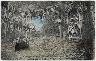 norman-martin-north-carolina-nc-craven-county-0019.jpg, Craven County, North Carolina : norman-martin-north-carolina-nc-craven-county-0019.jpg [3635891-22320204]