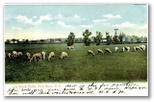 norman-martin-north-carolina-nc-craven-county-0005.jpg, Craven County, North Carolina: norman-martin-north-carolina-nc-craven-county-0005.jpg [3635877-22320204]
