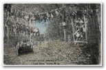 norman-martin-north-carolina-nc-craven-county-0019.jpg, Craven County, North Carolina: norman-martin-north-carolina-nc-craven-county-0019.jpg [3635891-22320204]