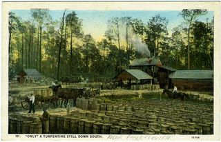 norman-martin-north-carolina-nc-cumberland-county-0046.jpg, Cumberland County, North Carolina : norman-martin-north-carolina-nc-cumberland-county-0046.jpg [3565842-59320206]