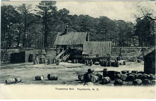 norman-martin-north-carolina-nc-cumberland-county-0051.jpg, Cumberland County, North Carolina : norman-martin-north-carolina-nc-cumberland-county-0051.jpg [3565847-59320207]