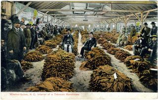 norman-martin-north-carolina-nc-forsyth-county-0044.jpg, Forsyth County, North Carolina : norman-martin-north-carolina-nc-forsyth-county-0044.jpg [3115100-48320204]