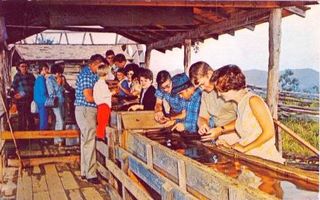 norman-martin-north-carolina-nc-franklin-0010.jpg, Franklin, North Carolina : norman-martin-north-carolina-nc-franklin-0010.jpg [3075003-15320200]