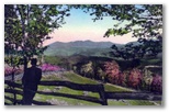 norman-martin-north-carolina-nc-grandfather-mountain-0030.jpg, Grandfather Mountain, North Carolina: norman-martin-north-carolina-nc-grandfather-mountain-0030.jpg [2924884-31320205]