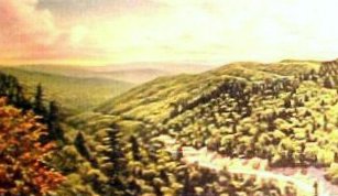 norman-martin-north-carolina-nc-great-smoky-mountains-0031.jpg, Great Smoky Mountains, North Carolina : norman-martin-north-carolina-nc-great-smoky-mountains-0031.jpg [2894794-55307178]