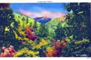 norman-martin-north-carolina-nc-great-smoky-mountains-0039.jpg, Great Smoky Mountains, North Carolina : norman-martin-north-carolina-nc-great-smoky-mountains-0039.jpg [2894802-55300200]