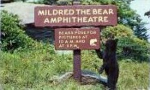 norman-martin-north-carolina-nc-great-smoky-mountains-0047.jpg, Great Smoky Mountains, North Carolina : norman-martin-north-carolina-nc-great-smoky-mountains-0047.jpg [2894810-55299180]