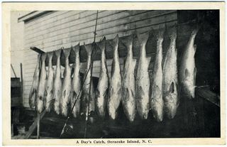 norman-martin-north-carolina-nc-hyde-county-0004.jpg, Hyde County, North Carolina : norman-martin-north-carolina-nc-hyde-county-0004.jpg [2594146-10320207]