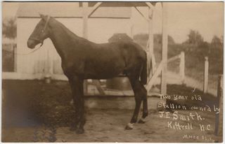 norman-martin-north-carolina-nc-kittrell-0001.jpg, Kittrell, North Carolina : norman-martin-north-carolina-nc-kittrell-0001.jpg [2413947-1320206]