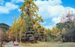 norman-martin-north-carolina-nc-montreat-0014.jpg, Montreat, North Carolina : norman-martin-north-carolina-nc-montreat-0014.jpg [1923368-48320201]