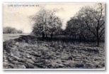 norman-martin-north-carolina-nc-mount-olive-0004.jpg, Mount Olive, North Carolina: norman-martin-north-carolina-nc-mount-olive-0004.jpg [1803067-4320207]