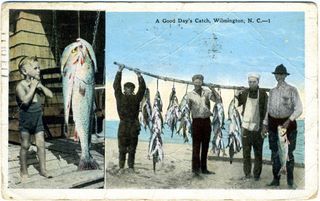 norman-martin-north-carolina-nc-new-hanover-county-0079.jpg, New Hanover County, North Carolina : norman-martin-north-carolina-nc-new-hanover-county-0079.jpg [1682813-159320201]
