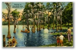 norman-martin-north-carolina-nc-new-hanover-county-0020.jpg, New Hanover County, North Carolina: norman-martin-north-carolina-nc-new-hanover-county-0020.jpg [1682754-159320202]
