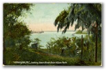 norman-martin-north-carolina-nc-new-hanover-county-0063.jpg, New Hanover County, North Carolina: norman-martin-north-carolina-nc-new-hanover-county-0063.jpg [1682797-159320205]