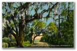norman-martin-north-carolina-nc-new-hanover-county-0121.jpg, New Hanover County, North Carolina: norman-martin-north-carolina-nc-new-hanover-county-0121.jpg [1682855-159320205]