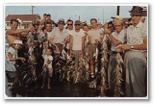 norman-martin-north-carolina-nc-new-hanover-county-0129.jpg, New Hanover County, North Carolina: norman-martin-north-carolina-nc-new-hanover-county-0129.jpg [1682863-159320210]