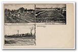 norman-martin-north-carolina-nc-new-hanover-county-0133.jpg, New Hanover County, North Carolina: norman-martin-north-carolina-nc-new-hanover-county-0133.jpg [1682867-159320206]