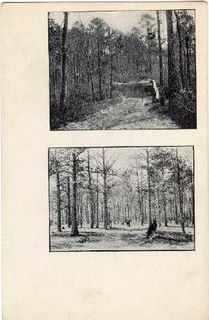 norman-martin-north-carolina-nc-newton-0002.jpg, Newton, North Carolina : norman-martin-north-carolina-nc-newton-0002.jpg [1652717-12209320]