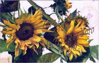 norman-martin-north-carolina-nc-north-wilkesboro-0001.jpg, North Wilkesboro, North Carolina : norman-martin-north-carolina-nc-north-wilkesboro-0001.jpg [1622647-12320204]