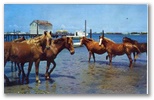 norman-martin-north-carolina-nc-ocracoke-0004.jpg, Ocracoke, North Carolina: norman-martin-north-carolina-nc-ocracoke-0004.jpg [1572593-26320199]