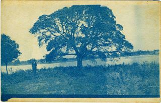 norman-martin-north-carolina-nc-oriental-0002.jpg, Oriental, North Carolina : norman-martin-north-carolina-nc-oriental-0002.jpg [1522451-4320204]