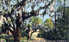 norman-martin-north-carolina-nc-outer-banks-0030.jpg, Outer Banks, North Carolina : norman-martin-north-carolina-nc-outer-banks-0030.jpg [1512333-145238147]