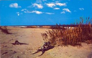 norman-martin-north-carolina-nc-outer-banks-0114.jpg, Outer Banks, North Carolina : norman-martin-north-carolina-nc-outer-banks-0114.jpg [1512417-145320202]