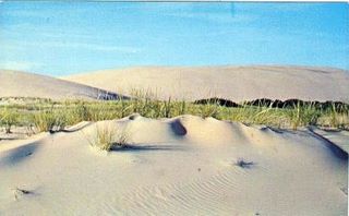 norman-martin-north-carolina-nc-outer-banks-0117.jpg, Outer Banks, North Carolina : norman-martin-north-carolina-nc-outer-banks-0117.jpg [1512420-145320198]