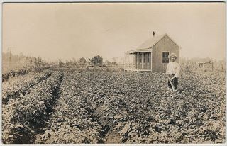 norman-martin-north-carolina-nc-pender-county-0004.jpg, Pender County, North Carolina : norman-martin-north-carolina-nc-pender-county-0004.jpg [1452246-8320206]