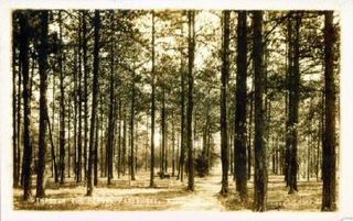 norman-martin-north-carolina-nc-pinehurst-0007.jpg, Pinehurst, North Carolina : norman-martin-north-carolina-nc-pinehurst-0007.jpg [1362186-32320201]