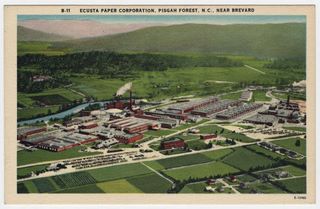 norman-martin-north-carolina-nc-pisgah-forest-0001.jpg, Pisgah Forest, North Carolina : norman-martin-north-carolina-nc-pisgah-forest-0001.jpg [1332173-1320209]