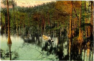 norman-martin-north-carolina-nc-scotland-neck-0007.jpg, Scotland Neck, North Carolina : norman-martin-north-carolina-nc-scotland-neck-0007.jpg [861335-7320207]