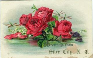 norman-martin-north-carolina-nc-siler-city-0001.jpg, Siler City, North Carolina : norman-martin-north-carolina-nc-siler-city-0001.jpg [801299-2320200]