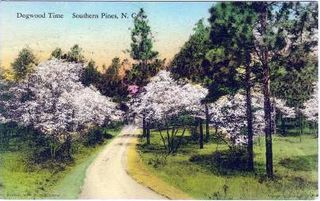 norman-martin-north-carolina-nc-southern-pines-0010.jpg, Southern Pines, North Carolina : norman-martin-north-carolina-nc-southern-pines-0010.jpg [761229-67320201]