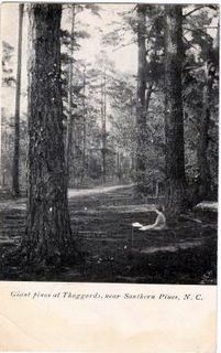 norman-martin-north-carolina-nc-southern-pines-0026.jpg, Southern Pines, North Carolina : norman-martin-north-carolina-nc-southern-pines-0026.jpg [761245-67201320]