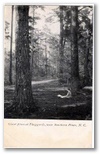 norman-martin-north-carolina-nc-southern-pines-0026.jpg, Southern Pines, North Carolina: norman-martin-north-carolina-nc-southern-pines-0026.jpg [761245-67201320]