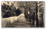 norman-martin-north-carolina-nc-southern-pines-0034.jpg, Southern Pines, North Carolina: norman-martin-north-carolina-nc-southern-pines-0034.jpg [761253-67320200]