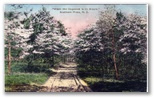 norman-martin-north-carolina-nc-southern-pines-0045.jpg, Southern Pines, North Carolina: norman-martin-north-carolina-nc-southern-pines-0045.jpg [761264-67320194]