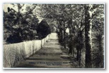 norman-martin-north-carolina-nc-southern-pines-0066.jpg, Southern Pines, North Carolina: norman-martin-north-carolina-nc-southern-pines-0066.jpg [761285-67320208]