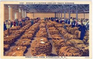 norman-martin-north-carolina-nc-stoneville-0003.jpg, Stoneville, North Carolina : norman-martin-north-carolina-nc-stoneville-0003.jpg [611150-3320203]