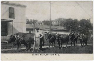 norman-martin-north-carolina-nc-transylvania-county-0002.jpg, Transylvania County, North Carolina : norman-martin-north-carolina-nc-transylvania-county-0002.jpg [501048-15320208]