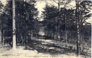 norman-martin-north-carolina-nc-tryon-0026.jpg, Tryon, North Carolina : norman-martin-north-carolina-nc-tryon-0026.jpg [471036-30320202]