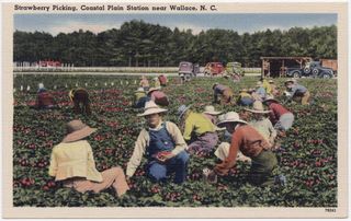 norman-martin-north-carolina-nc-wallace-0001.jpg, Wallace, North Carolina : norman-martin-north-carolina-nc-wallace-0001.jpg [40859-2320202]