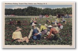 norman-martin-north-carolina-nc-wallace-0001.jpg, Wallace, North Carolina: norman-martin-north-carolina-nc-wallace-0001.jpg [40859-2320202]