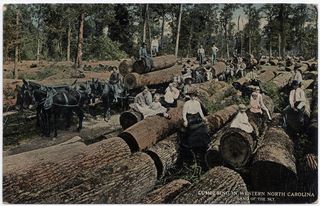 norman-martin-north-carolina-nc-western-nc-0002.jpg, Western, North Carolina : norman-martin-north-carolina-nc-western-nc-0002.jpg [1592624-17320206]