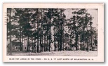 norman-martin-north-carolina-nc-wilmington-0154.jpg, Wilmington, North Carolina: norman-martin-north-carolina-nc-wilmington-0154.jpg [18532-217320185]